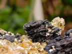 Natural Schorl Black Tourmaline With Vermiculite x 3 From Erongo, Namibia