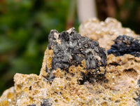 Natural Schorl Black Tourmaline With Vermiculite x 3 From Erongo, Namibia