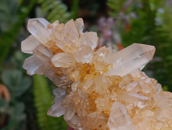 Natural Clear Quartz Crystal Clusters x 4 From Madagascar