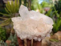 Natural Clear Quartz Crystal Clusters x 4 From Madagascar