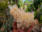 Natural Clear Quartz Crystal Clusters x 4 From Madagascar