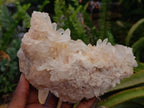 Natural Clear Quartz Crystal Clusters x 4 From Madagascar