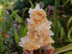 Natural Clear Quartz Crystal Clusters x 4 From Madagascar