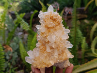 Natural Clear Quartz Crystal Clusters x 4 From Madagascar