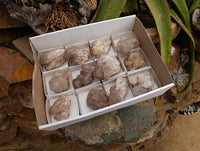 Natural Clear Champagne Citrine Quartz Clusters x 12 From Luena, Congo