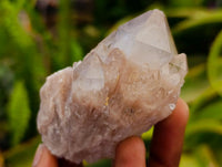 Natural Clear Champagne Citrine Quartz Clusters x 12 From Luena, Congo