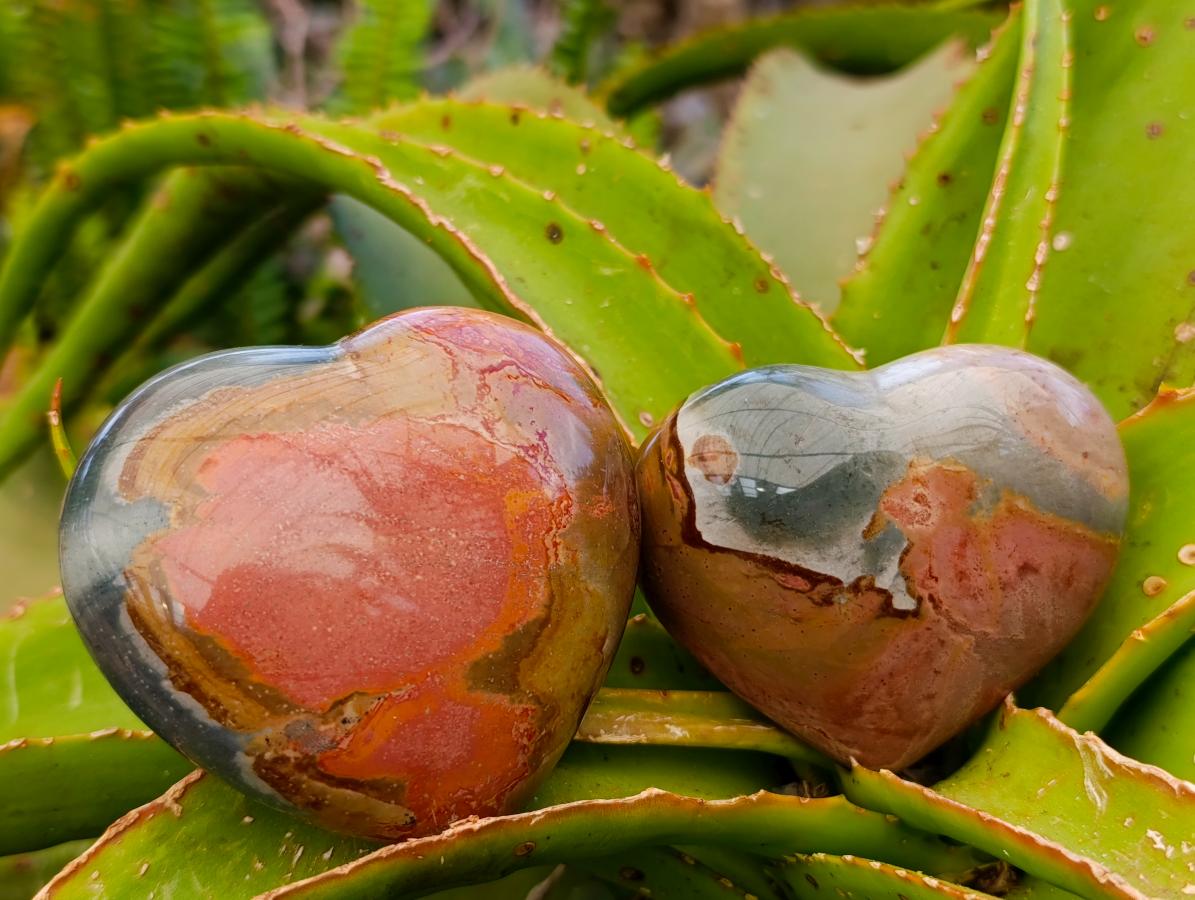 Polished Polychrome Jasper Hearts x 6 From NW Coast, Madagascar