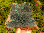 Natural Crystalline Malachite Specimen x 1 From Tenke Fungurume, Congo