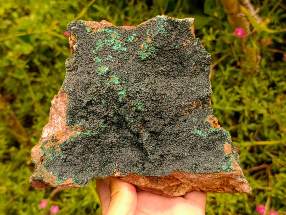 Natural Crystalline Malachite Specimen x 1 From Tenke Fungurume, Congo