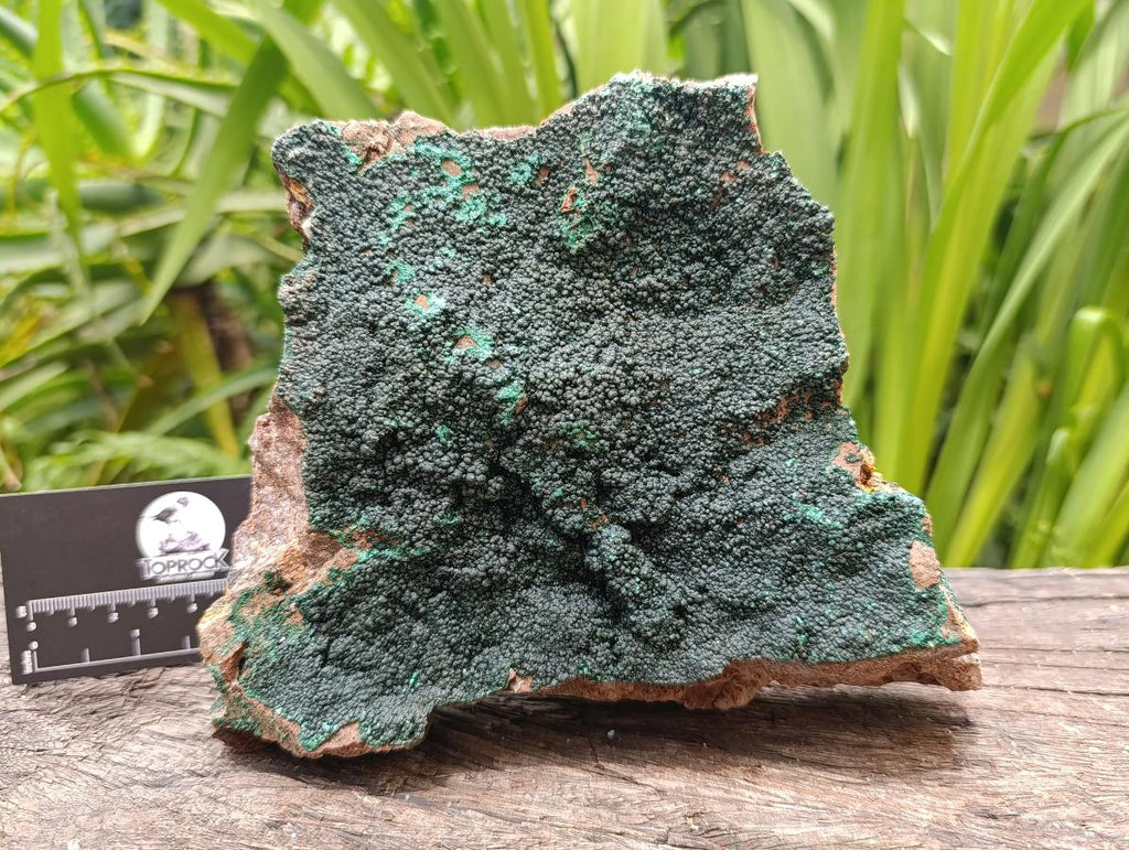 Natural Crystalline Malachite Specimen x 1 From Tenke Fungurume, Congo