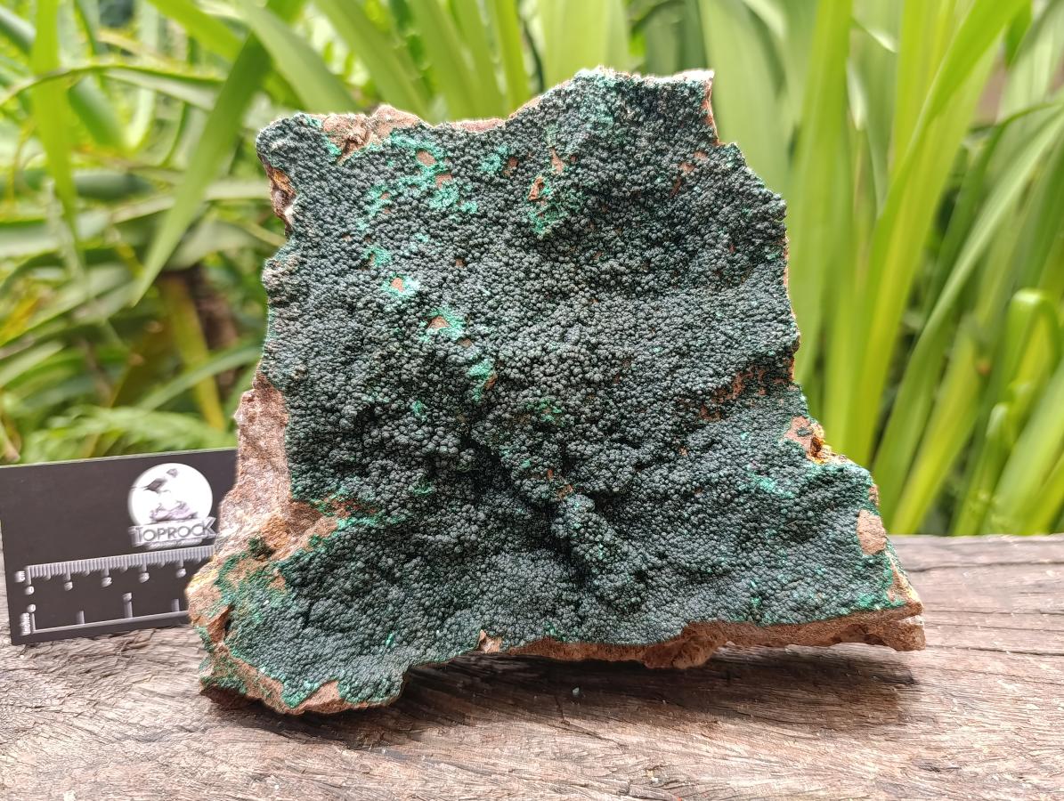 Natural Crystalline Malachite Specimen x 1 From Tenke Fungurume, Congo