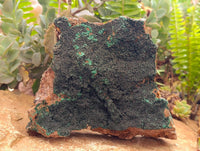 Natural Crystalline Malachite Specimen x 1 From Tenke Fungurume, Congo