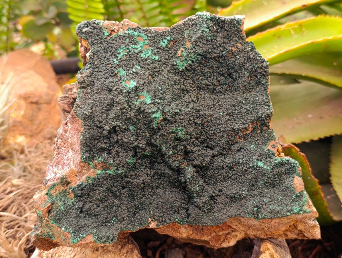 Natural Crystalline Malachite Specimen x 1 From Tenke Fungurume, Congo