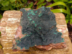 Natural Crystalline Malachite Specimen x 1 From Tenke Fungurume, Congo