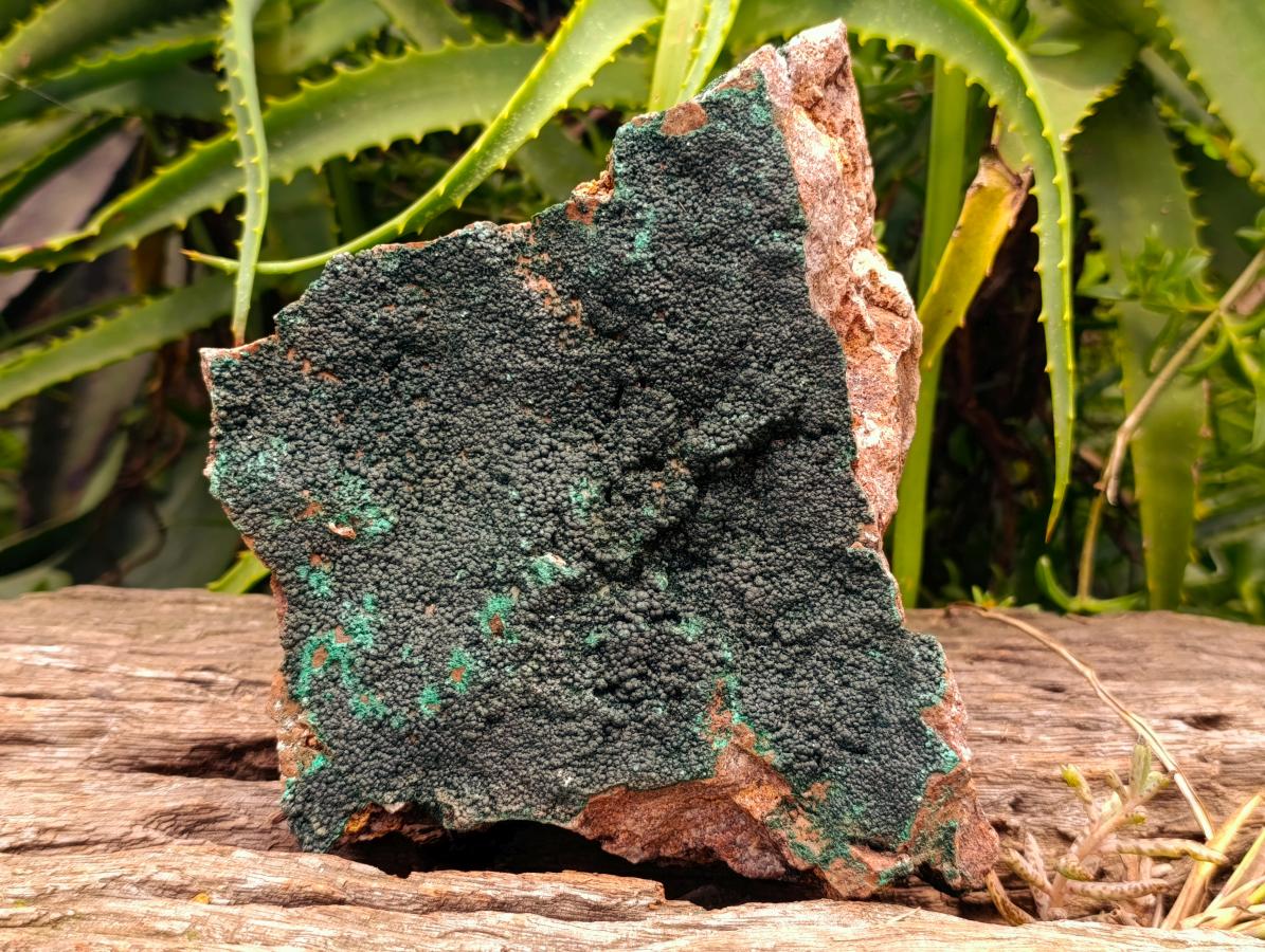 Natural Crystalline Malachite Specimen x 1 From Tenke Fungurume, Congo