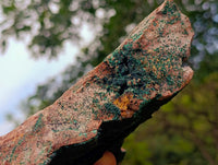 Natural Crystalline Malachite Specimen x 1 From Tenke Fungurume, Congo