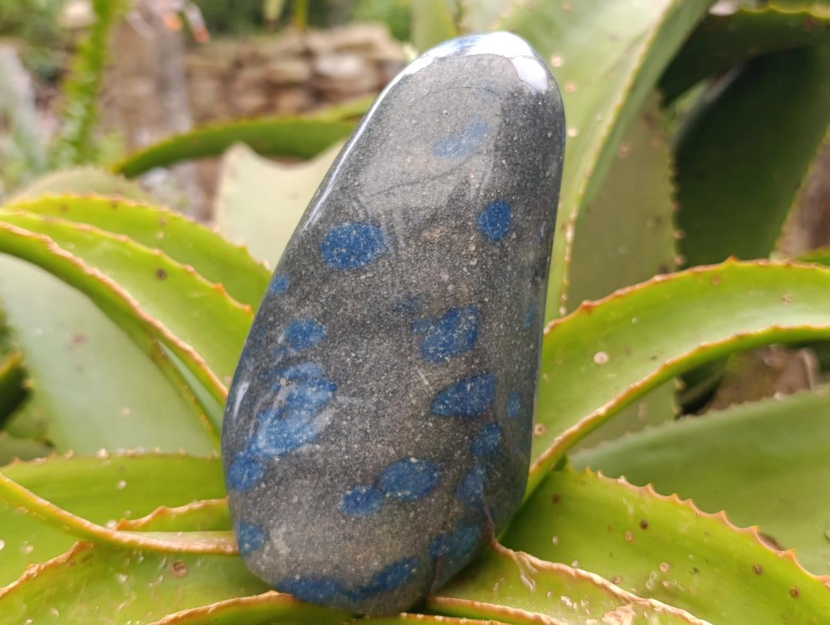 Polished Blue Spotted Spinel in Quartz Standing Free Forms x 2 From Madagascar