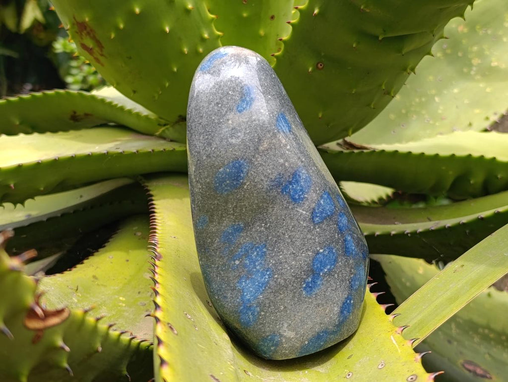 Polished Blue Spotted Spinel in Quartz Standing Free Forms x 2 From Madagascar