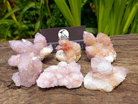 Natural Lilac Amethyst Ametrine Spirit Clusters x 12 From Boekenhouthoek, South Africa