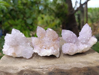 Natural Lilac Amethyst Ametrine Spirit Clusters x 12 From Boekenhouthoek, South Africa