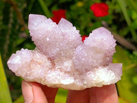 Natural Lilac Amethyst Ametrine Spirit Clusters x 12 From Boekenhouthoek, South Africa