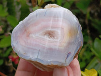 Polished On One Side Red Shashe River Agate Nodules x 12 From Shashe River, Zimbabwe