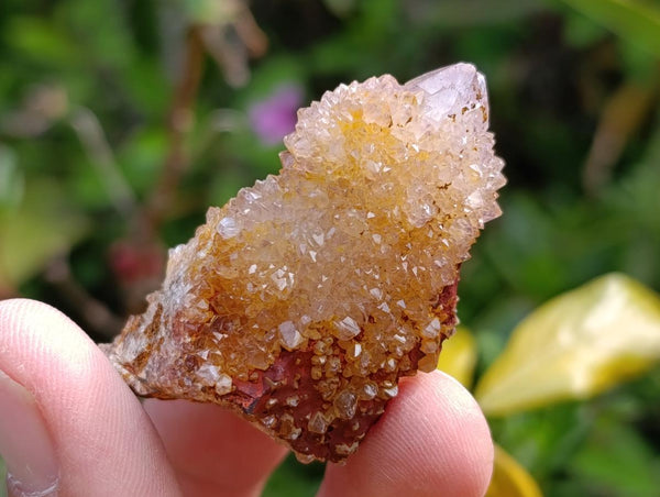 Natural Lilac Amethyst Spirit and Ametrine Crystals x 35 From Boekenhouthoek, South Africa