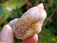 Natural Lilac Amethyst Spirit and Ametrine Crystals x 35 From Boekenhouthoek, South Africa