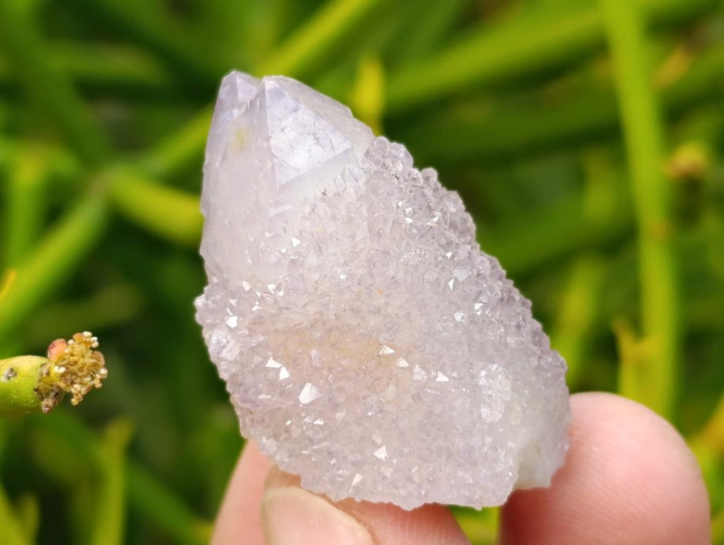 Natural Lilac Amethyst Spirit and Ametrine Crystals x 35 From Boekenhouthoek, South Africa