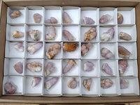 Natural Lilac Amethyst Spirit and Ametrine Crystals x 35 From Boekenhouthoek, South Africa