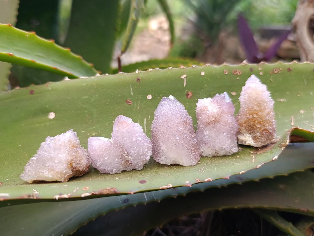 Natural Lilac Amethyst Spirit and Ametrine Crystals x 35 From Boekenhouthoek, South Africa