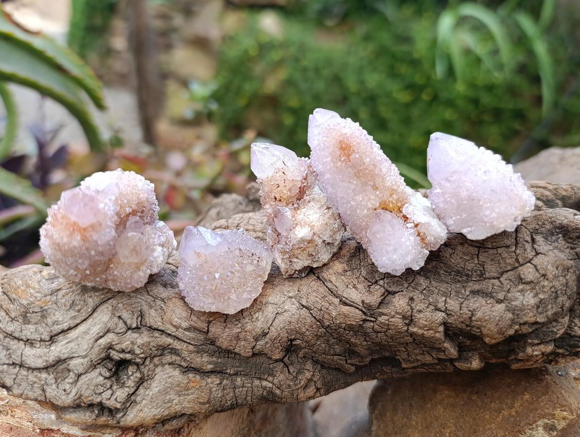 Natural Lilac Amethyst Spirit and Ametrine Crystals x 35 From Boekenhouthoek, South Africa