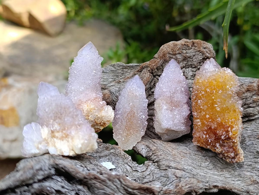 Natural Lilac Amethyst Spirit and Ametrine Crystals x 35 From Boekenhouthoek, South Africa