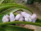 Natural Lilac Amethyst Spirit and Ametrine Crystals x 35 From Boekenhouthoek, South Africa