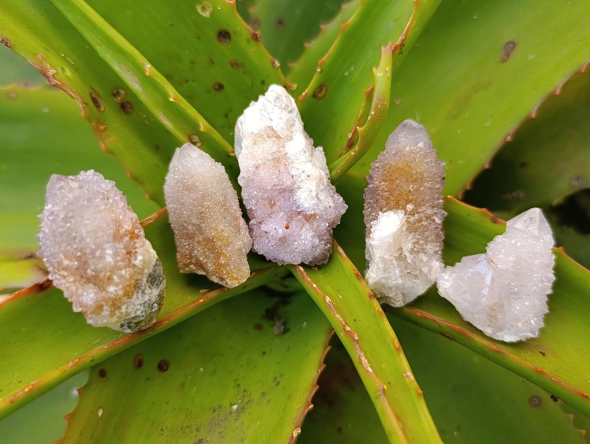 Natural Lilac Amethyst Spirit and Ametrine Crystals x 35 From Boekenhouthoek, South Africa