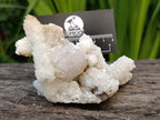 Natural Drusy Snow Quartz Coated Calcite Pseudomorph Specimens x 2 From Albert's Mountain, Lesotho