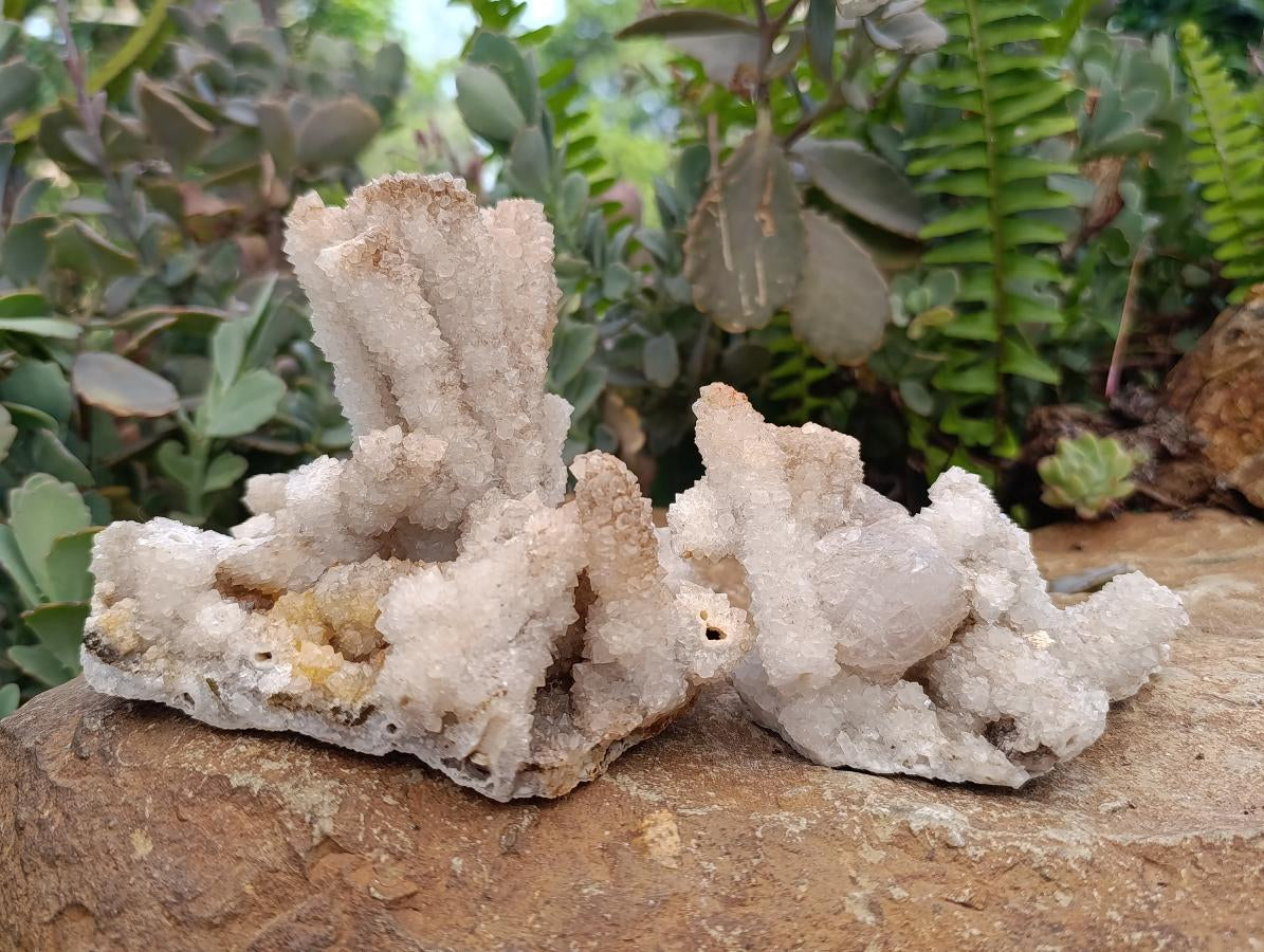 Natural Drusy Snow Quartz Coated Calcite Pseudomorph Specimens x 2 From Albert's Mountain, Lesotho
