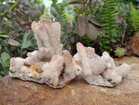 Natural Drusy Snow Quartz Coated Calcite Pseudomorph Specimens x 2 From Albert's Mountain, Lesotho