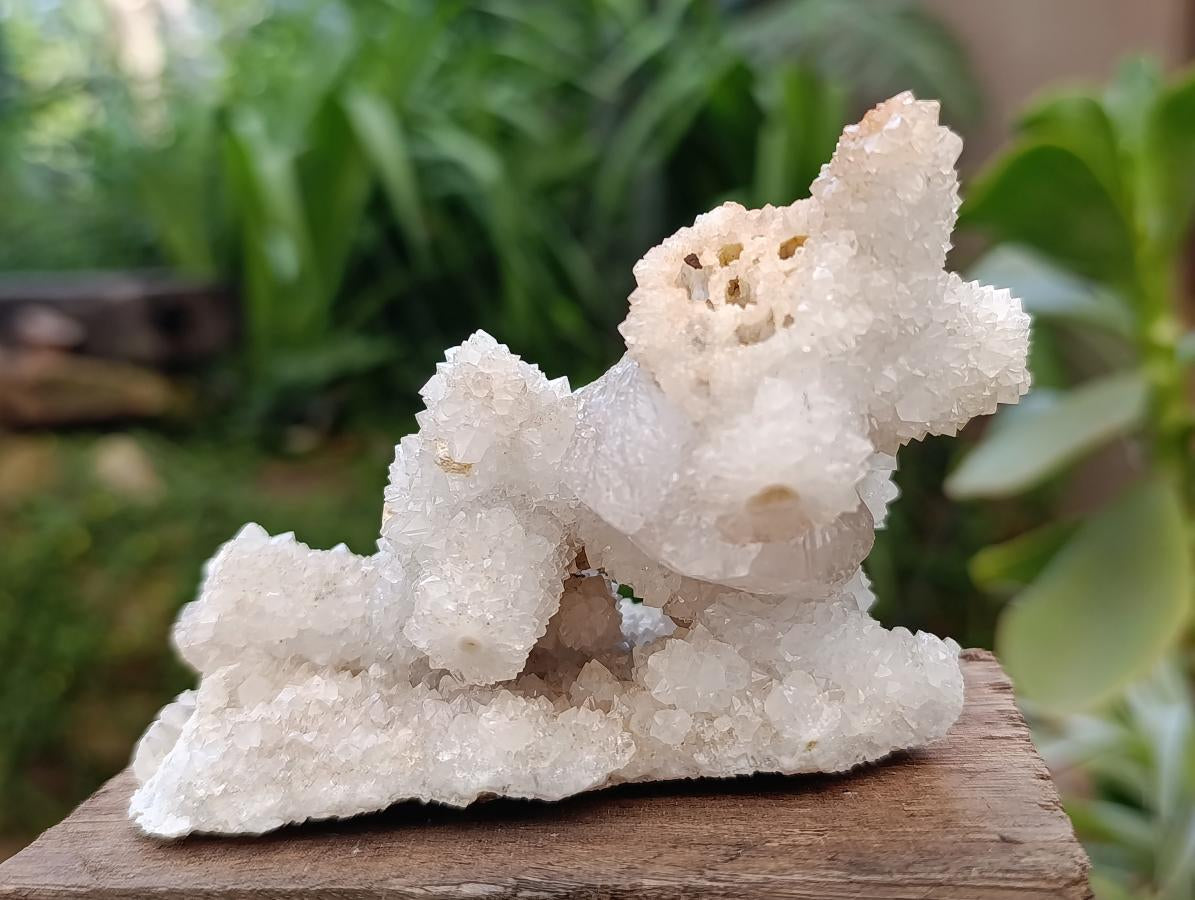 Natural Drusy Snow Quartz Coated Calcite Pseudomorph Specimens x 2 From Albert's Mountain, Lesotho