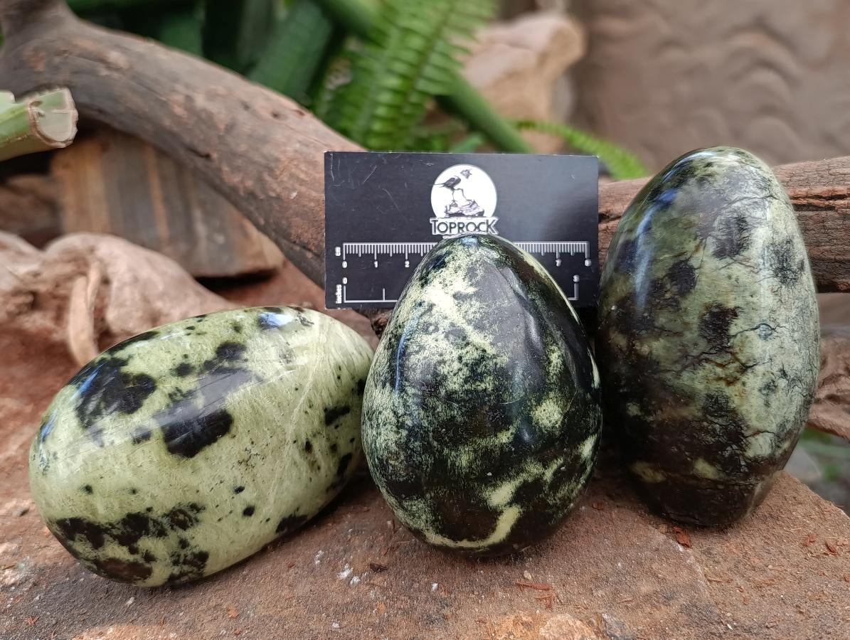 Polished Leopard Stone Standing and Free Forms x 3 From Zimbabwe