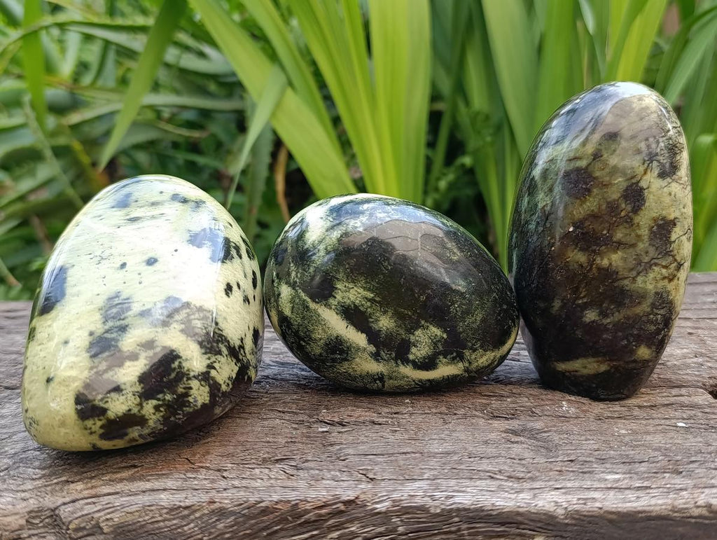 Polished Leopard Stone Standing and Free Forms x 3 From Zimbabwe