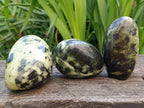 Polished Leopard Stone Standing and Free Forms x 3 From Zimbabwe