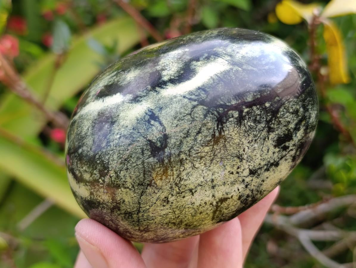 Polished Leopard Stone Standing and Free Forms x 3 From Zimbabwe