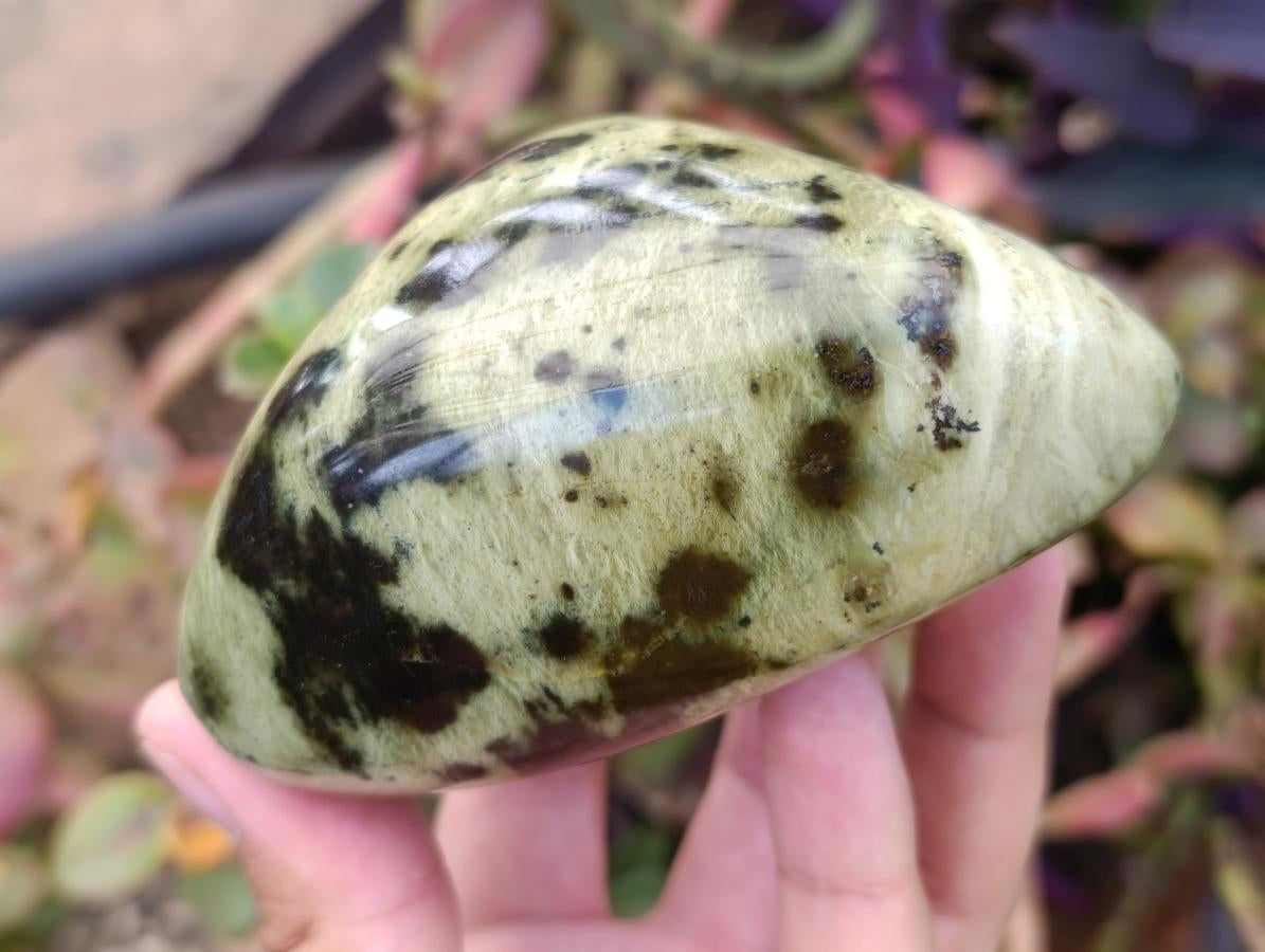 Polished Leopard Stone Standing and Free Forms x 3 From Zimbabwe