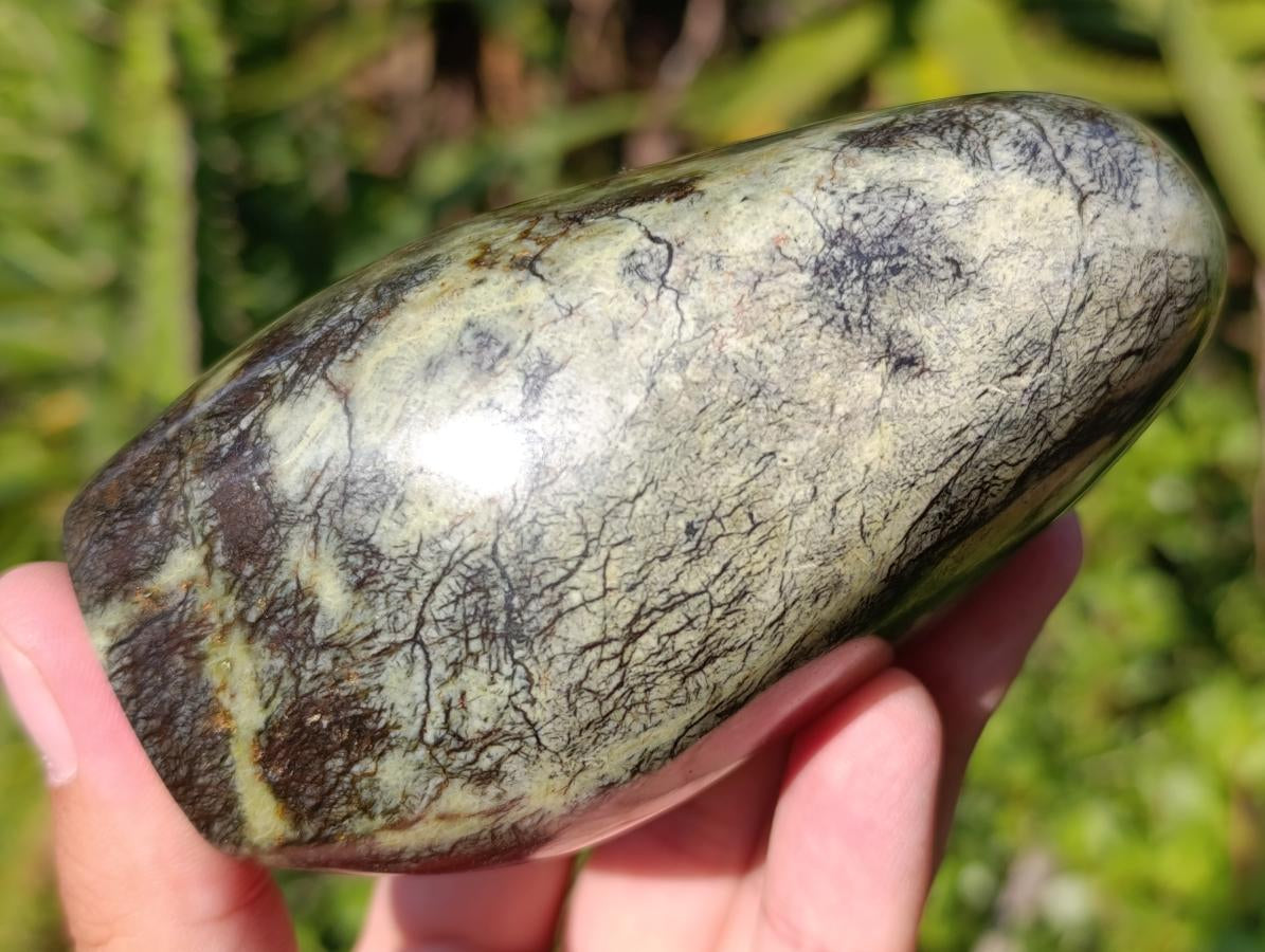 Polished Leopard Stone Standing and Free Forms x 3 From Zimbabwe