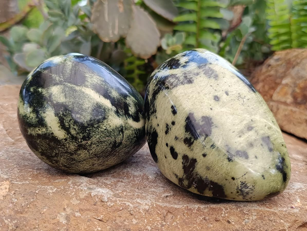 Polished Leopard Stone Standing and Free Forms x 3 From Zimbabwe