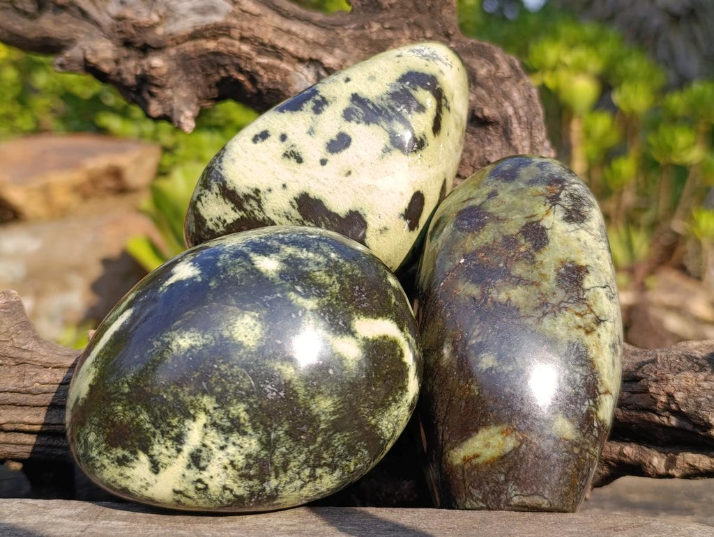 Polished Leopard Stone Standing and Free Forms x 3 From Zimbabwe