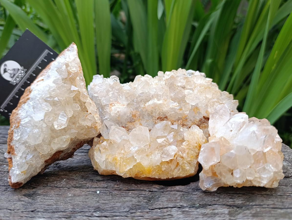 Natural Limonite Quartz Clusters x 7 From Solwezi, Zambia