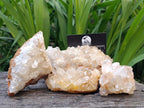 Natural Limonite Quartz Clusters x 7 From Solwezi, Zambia
