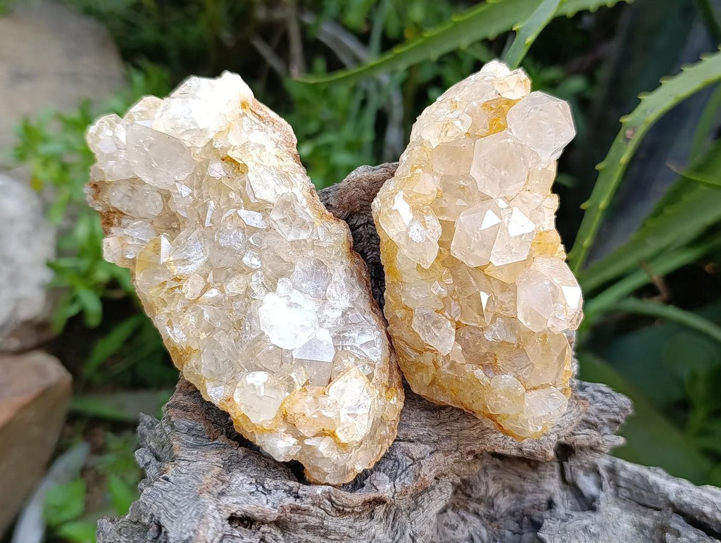Natural Limonite Quartz Clusters x 7 From Solwezi, Zambia